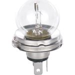 Glühlampe 1 987 302 421 Glühlampe 1 987 302 421