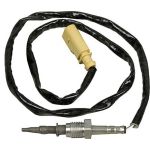 Sensor, Abgastemperatur 0894538