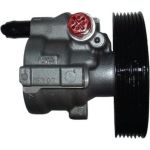 Hydraulikpumpe, Lenkung 54302 Hydraulikpumpe, Lenkung 54302