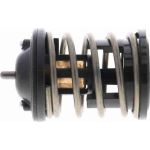 Thermostat, Kühlmittel V20-99-0169
