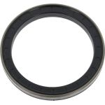 Dichtring 12017098B