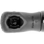 Vaico V30-2336 Gasfeder, Motorhaube Vaico V30-2336 Gasfeder, Motorhaube