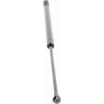 Gasfeder, Koffer-/Laderaum V24-0187