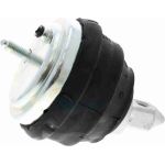Vaico V20-1120 Lagerung, Motor