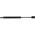 Gasfeder, Koffer-/Laderaum V50-0044