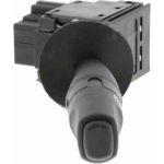 Schalter, Hauptlicht V22-80-0003