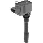 BorgWarner (BERU) ZSE163 Zündspule