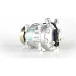 Kompressor, Klimaanlage ACP 111 000P
