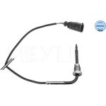 Sensor, Abgastemperatur 114 800 0131