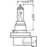 Glühlampe, Nebelscheinwerfer 64219L+ Glühlampe, Nebelscheinwerfer 64219L+