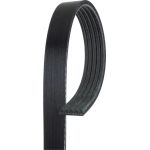 Keilrippenriemen 5PK875