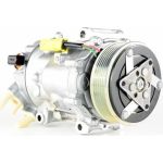 Kompressor, Klimaanlage ACP 1352 000P