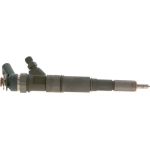 BOSCH 0 445 110 131 Einspritzdüse