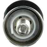 Umlenk-/Führungsrolle, Zahnriemen T42019 Umlenk-/Führungsrolle, Zahnriemen T42019