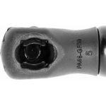 Gasfeder, Motorhaube V21-0032 Gasfeder, Motorhaube V21-0032