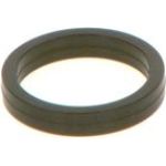 Dichtring F 00V C38 100 Dichtring F 00V C38 100
