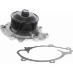 Vaico V30-50059 Wasserpumpe