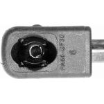 Gasfeder, Koffer-/Laderaum V20-1888