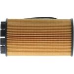 BOSCH F 026 407 069 Ölfilter BOSCH F 026 407 069 Ölfilter