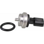 Sensor, Kühlmitteltemperatur 0905254