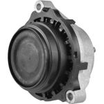 Tedgum TED38660 Lagerung, Motor