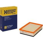 Luftfilter E173L01 Luftfilter E173L01