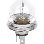 Glühlampe 1 987 302 421 Glühlampe 1 987 302 421