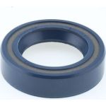 Dichtring 12010852B