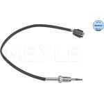 Sensor, Abgastemperatur 314 800 0063