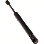 Gasfeder, Koffer-/Laderaum 12-0308