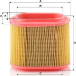MANN-FILTER C 24 196 Luftfilter