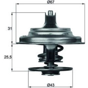Mahle | Thermostat, Kühlmittel | TX 23 79D