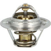 NRF | Thermostat, Kühlmittel | 725064