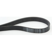 ContiTech | Keilrippenriemen | 6PK995