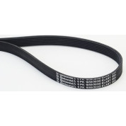 ContiTech | Keilrippenriemen | 6PK1059 ELAST