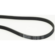 ContiTech | Keilrippenriemen | 4PK841