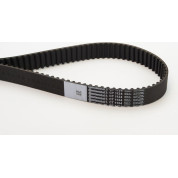 ContiTech | Zahnriemen | CT1134