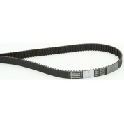 ContiTech | Zahnriemen | CT871