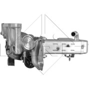 NRF | AGR-Modul | mit AGR Ventil | 48204