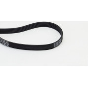 ContiTech | Keilrippenriemen | 6PK1660