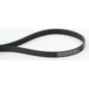 ContiTech | Keilrippenriemen | 6PK1352