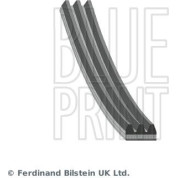 Blue Print | Keilrippenriemen | AD03R785