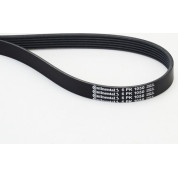 ContiTech | Keilrippenriemen | 6PK1050