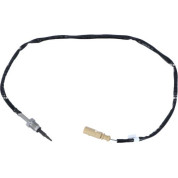 NRF | Sensor, Abgastemperatur | 707190