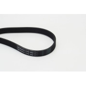 ContiTech | Keilrippenriemen | 6PK1605