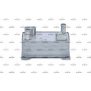 NRF | Ölkühler, Automatikgetriebe | 31362