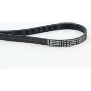 ContiTech | Keilrippenriemen | 6PK1019 ELAST