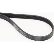 ContiTech | Keilrippenriemen | 6PK1173