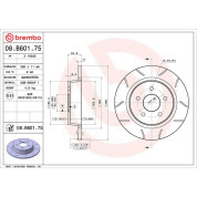 Brembo | Bremsscheibe | 08.B601.75