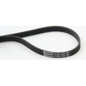 ContiTech | Keilrippenriemen | 5PK1145